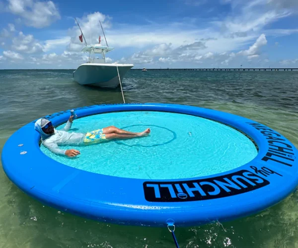 megachill_royal_blue_logan_solo